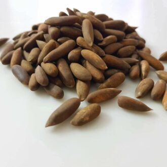 Pine Nuts